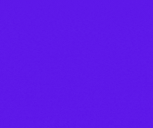 spot_img