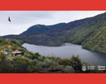 Píntag, el nido de cóndores de Quito Píntag, el nido de cóndores de Quito