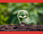 La diferencia entre sustentabilidad y sostenibilidad La diferencia entre sustentabilidad y sostenibilidad